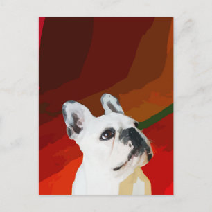 White Fransk Bulldog Vykort