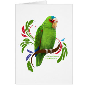 White Fronzon Amazon Hälsningskort