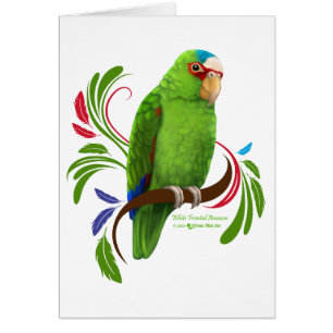 White Fronzon Amazon Hälsningskort