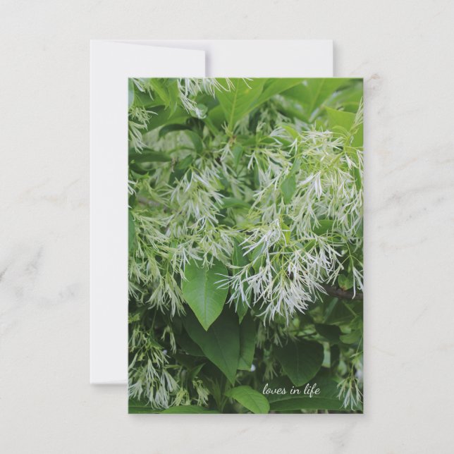 White Garden Flowers Anteckningskort (Framsida)