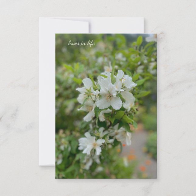White Garden Flowers Anteckningskort (Framsida)