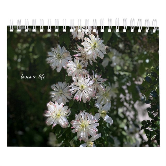 White Garden Flowers Kalender (Omslag)