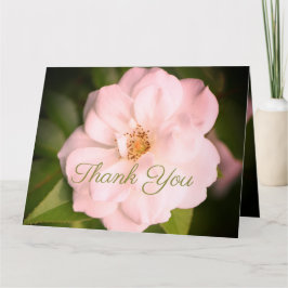 White Garden Ro Kort