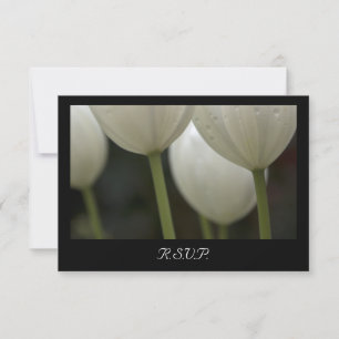 White Garden Tulips Vår bröllop OSA kort
