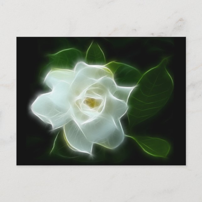 White Gardenia Flower Plant Vykort (Framsida)