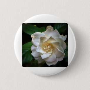 White Gardenia Knapp