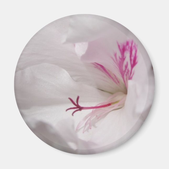 White Geranium Magnet (Framsidan)