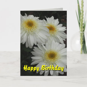 White Gerber Daisy Grattis på födelsedagen Kort