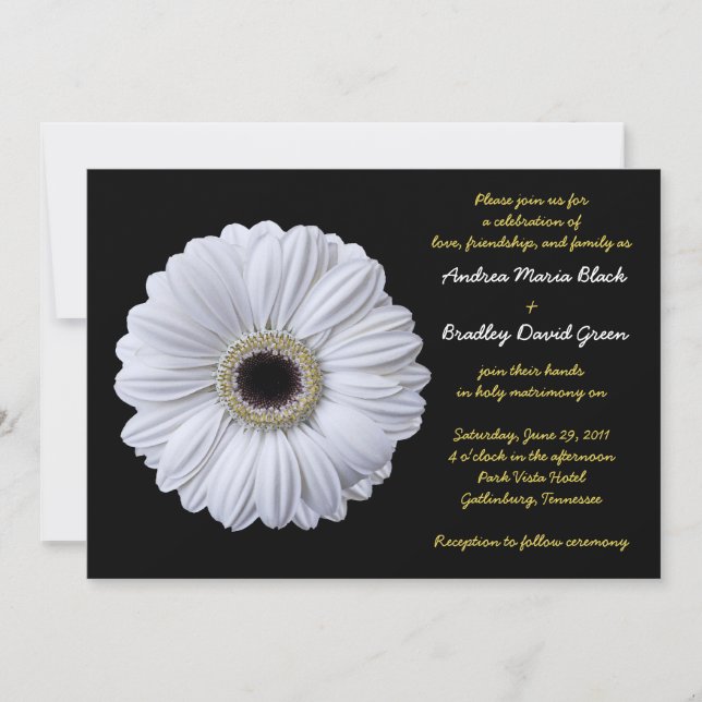 White Gerbera Daisy Black Wedding bjudande Inbjudningar (Framsida)