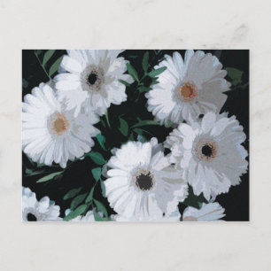 White Gerbera Daisy Vykort