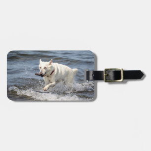 White German shepard på Sjö George Bagagebricka