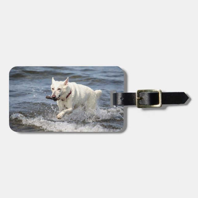 White German shepard på Sjö George Bagagebricka (Horisontell Framsida)