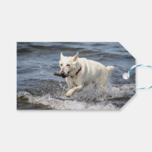 White German shepard på Sjö George Presentetikett