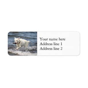 White German shepard på Sjö George Returadress Etikett