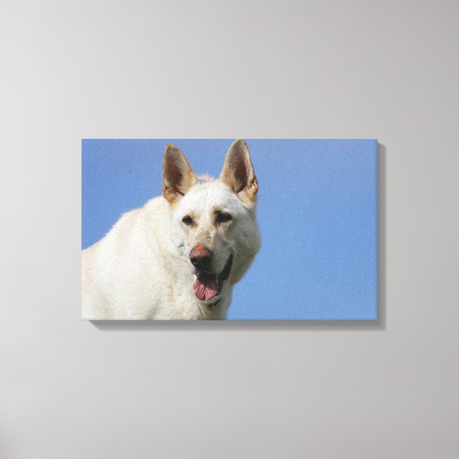 White German Shepherd Canvastryck (Framsida)