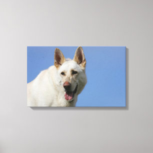 White German Shepherd Canvastryck