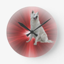 White German Shepherd