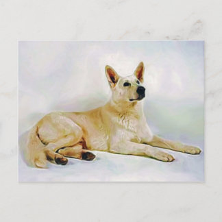 White German Shepherd Vykort