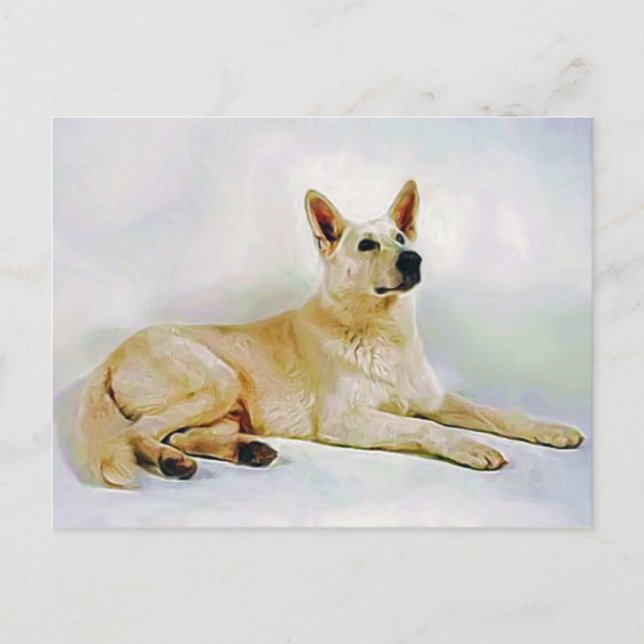 White German Shepherd Vykort (Framsida)