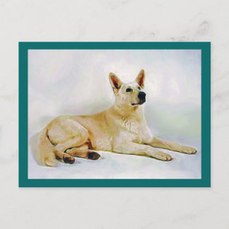 White German Shepherd Vykort