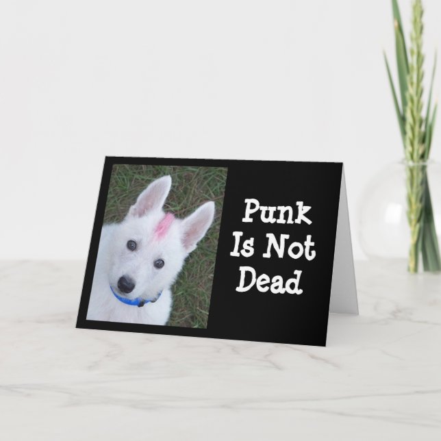 White German Shepherd w. Mohawk Kort (Framsida)