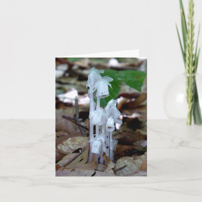 White Ghost Plant Anteckningskort (Framsida)