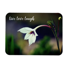 White Gladiolus Garden Flower Motivational Magnet