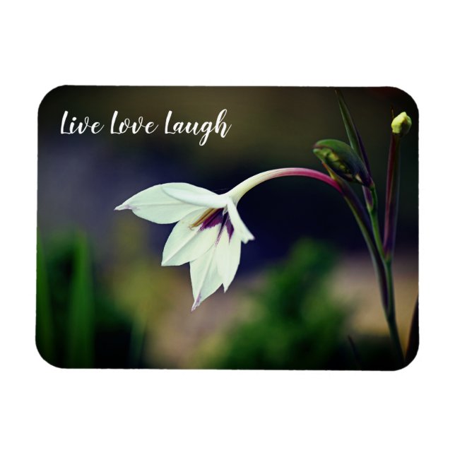 White Gladiolus Garden Flower Motivational Magnet (Horisontell)