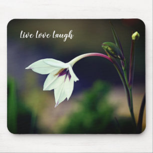 White Gladiolus Garden Flower Motivational Magnet Musmatta