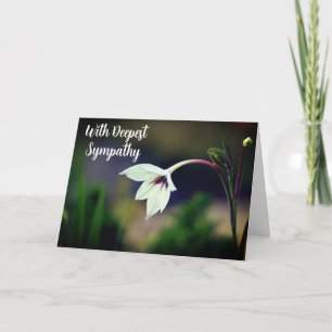 White Gladiolus Garden Flower W/ Deepest Sympathy Kort