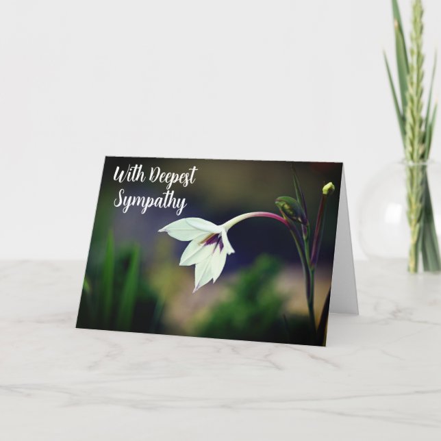 White Gladiolus Garden Flower W/ Deepest Sympathy Kort (Framsida)