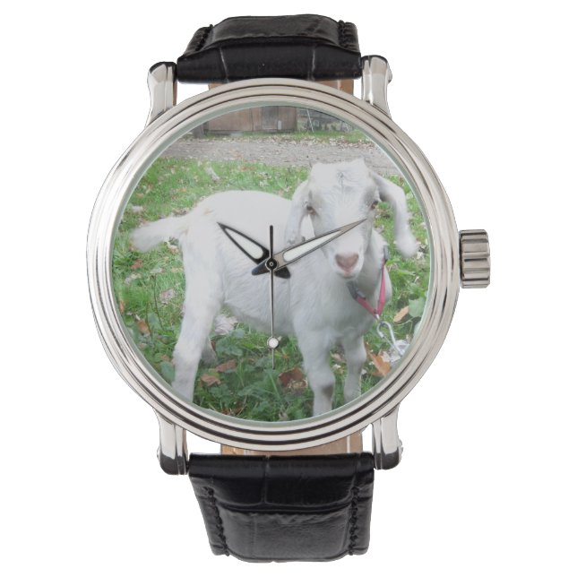 White Goat Watch Armbandsur (Framsida)