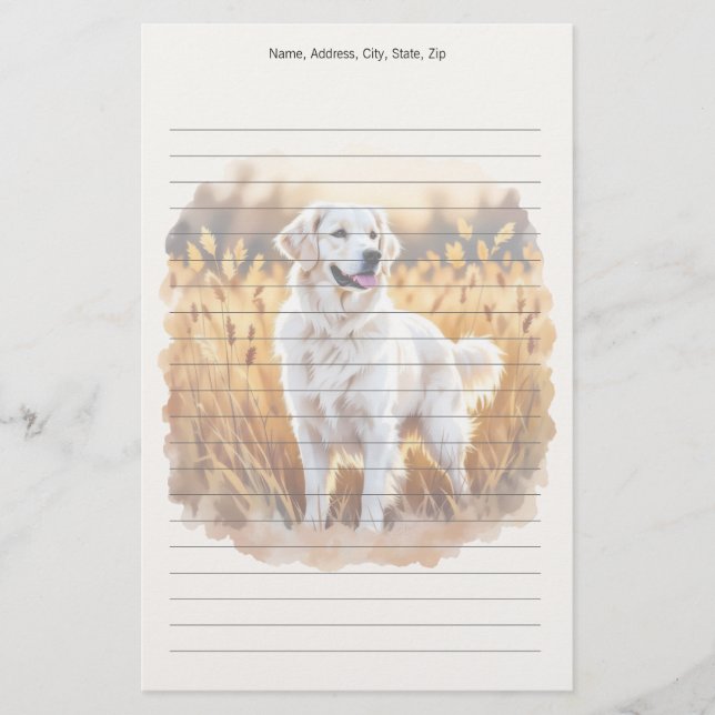White Golden Retriever Dog Brevpapper (Framsida)