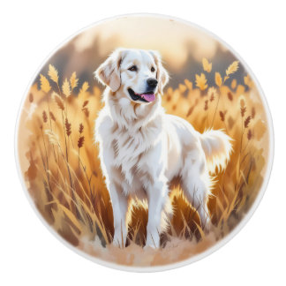 White Golden Retriever Dog Knopp