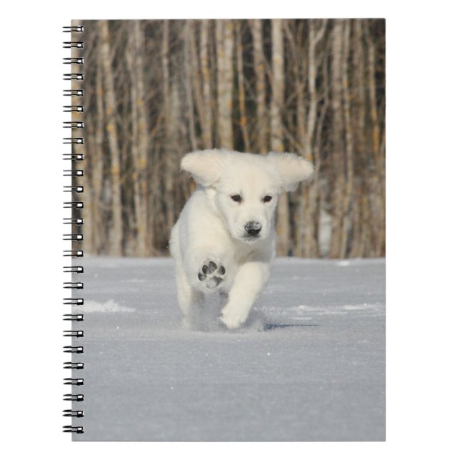 White Golden Retriever Puppy i Snö Anteckningsbok (Framsidan)