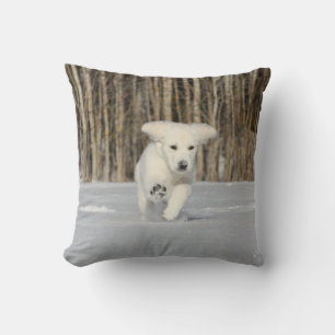 White Golden Retriever Puppy i Snö Kudde