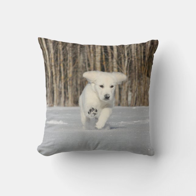 White Golden Retriever Puppy i Snö Kudde (Framsida)