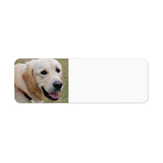 White Golden Retriever Returadress Etikett