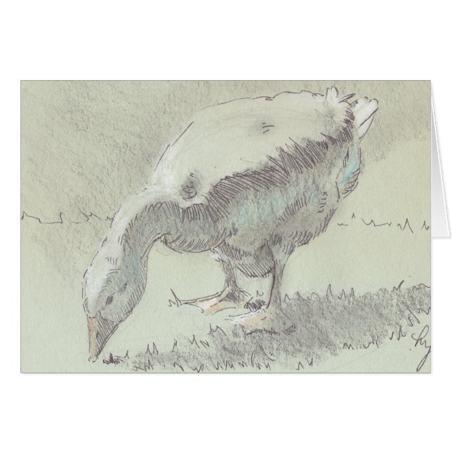 White Goose teckning Hälsningskort (Framsidan Horizontal)