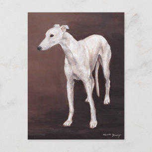 White Greyhound Hund Art-vykort Vykort