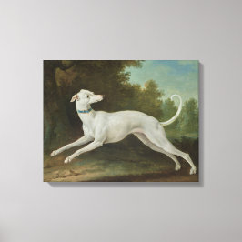 White Greyhound Hund (av Jean-Baptiste Oudry) Canvastryck