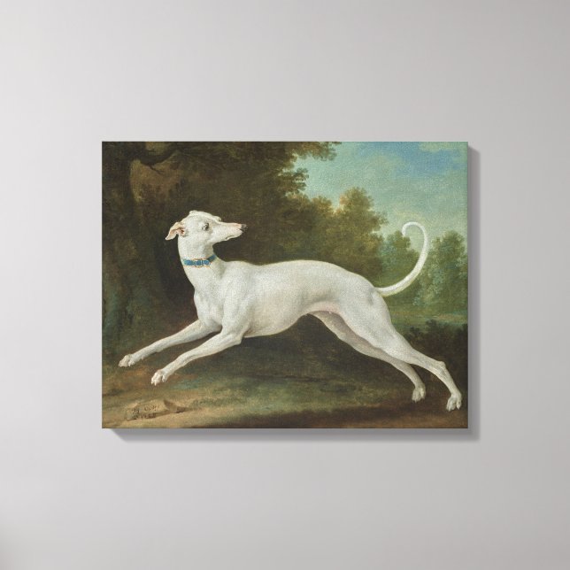 White Greyhound Hund (av Jean-Baptiste Oudry) Canvastryck (Framsida)