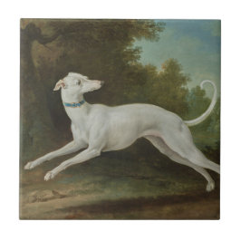 White Greyhound Hund (av Jean-Baptiste Oudry) Kakelplatta