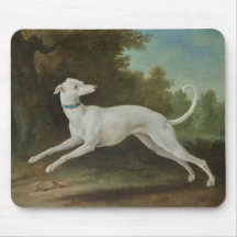 White Greyhound Hund (av Jean-Baptiste Oudry)