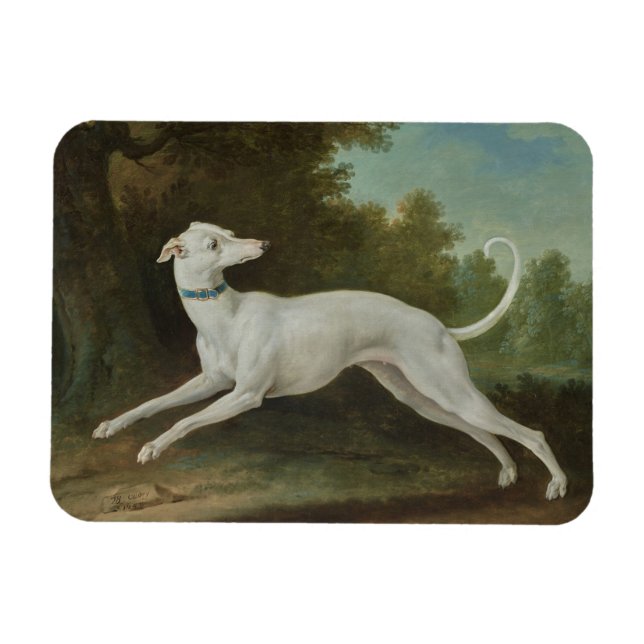 White Greyhound Hund Magnet (Horisontell)