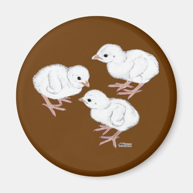 White Guinea Keets Magnet (Framsidan)