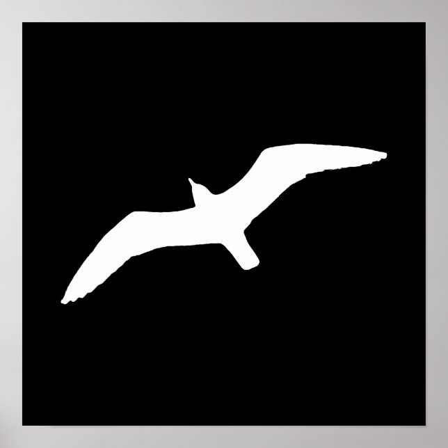 White Gull Poster (Framsidan)