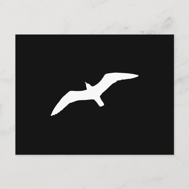 White Gull Vykort (Framsida)