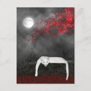 White Halloween-katt Vykort