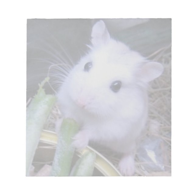White Hamster Anteckningsblock (Framsida)